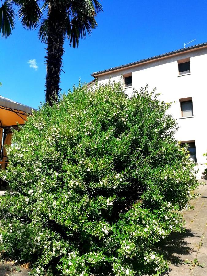 Agriturismo Da Andreina Borso del Grappa Eksteriør billede